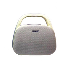 Original WSTER WS1815 Support USB TF CARD FM RADIO Sound And Speaker Amplifier Speaker Outdoor Mini Speaker